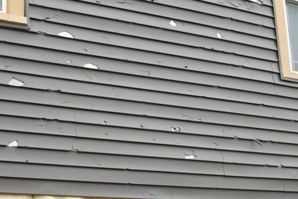 Best Fascia and Soffit Installation  in Potomac Heights, MD